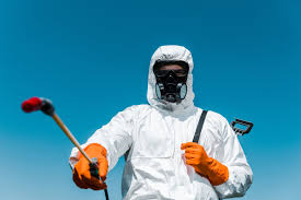 Best Bed Bug Extermination  in Brush Prairie, WA